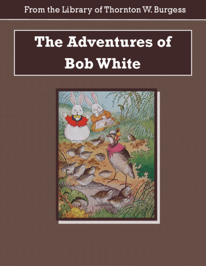 Adventures of Bob White Audiobook by Thornton W. Burgess